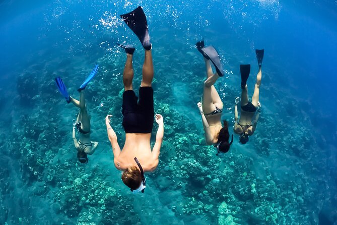 Turtles & Tacos Luxury Catamaran Snorkel - Setting sail from Maalaea Harbor at 11 a.m.