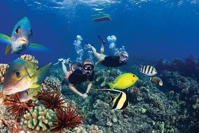 Turtles & Tacos Luxury Catamaran Snorkel - The boat atmosphere: luxury with a social side