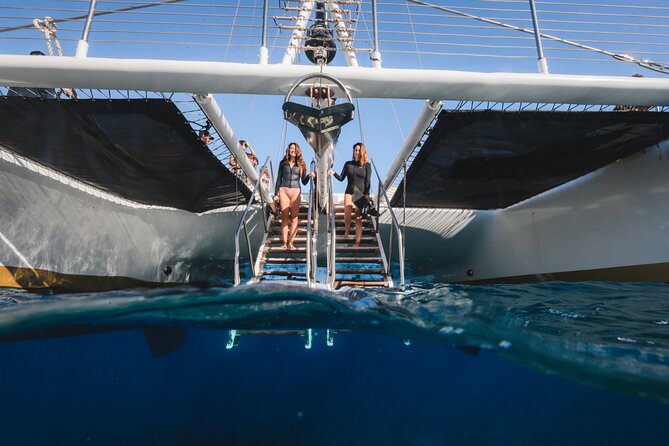 Turtles & Tacos Luxury Catamaran Snorkel - Booking details worth knowing