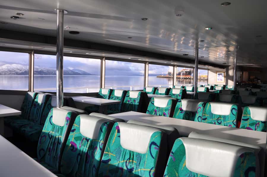 Ushuaia: Beagle Channel & Sea Wolves Island Catamaran Cruise - Comfort, crowding, and what to bring