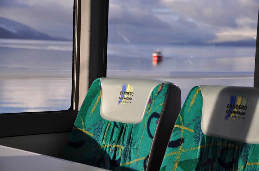 Ushuaia: Penguin Watching Tour by Catamaran - Guide, Commentary, and Practical Comforts