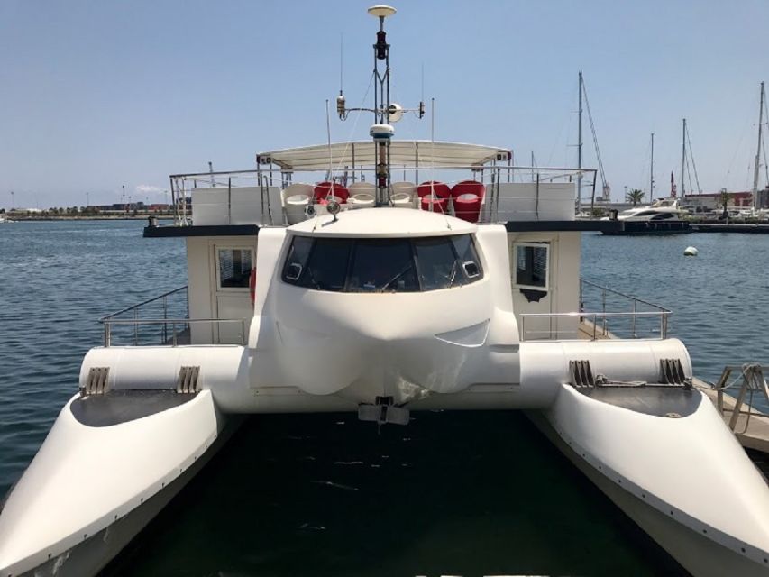 Valencia: Catamaran Cruise, Paella Lunch and Swim Stop - What the catamaran ride feels like