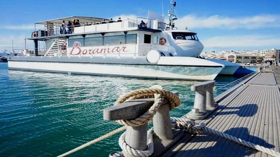 Valencia: Catamaran Cruise, Paella Lunch and Swim Stop - Who will enjoy it most