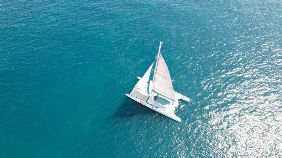 Valencia: Sailing Catamaran Cruise with Valencian Lunch - Lunch at Sea: Paella, Salad, Bread, and Fruit