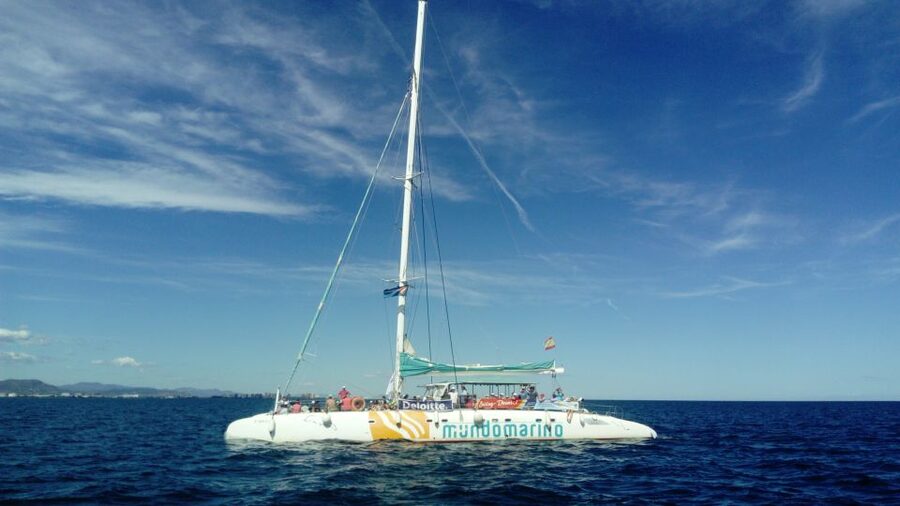Valencia: Sailing Catamaran Cruise with Valencian Lunch - The Swimming Stop Near Shore