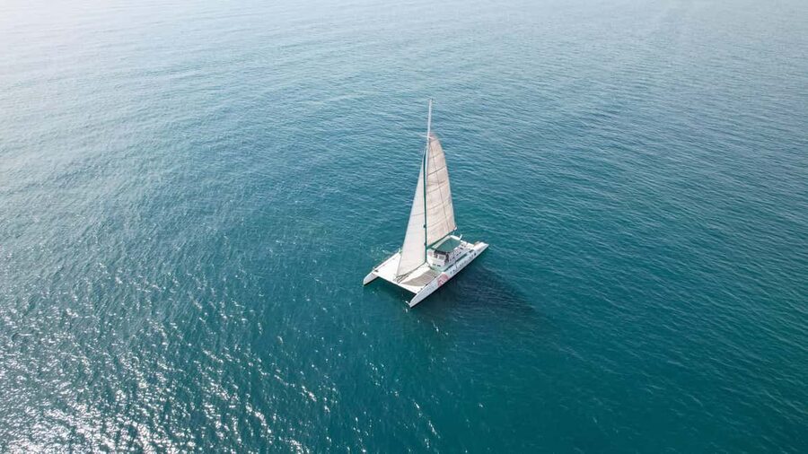 Valencia: Sailing Catamaran with Swimming & Optional DJ - The swimming stop is the main event