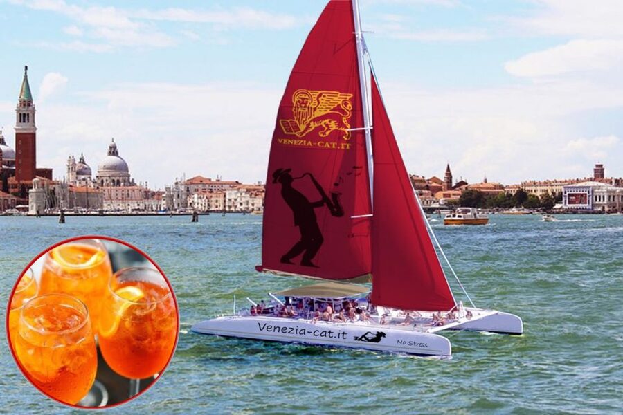 Venice: Lagoon Catamaran Cruise with Music and Drinks - Who should book this Venice lagoon cruise