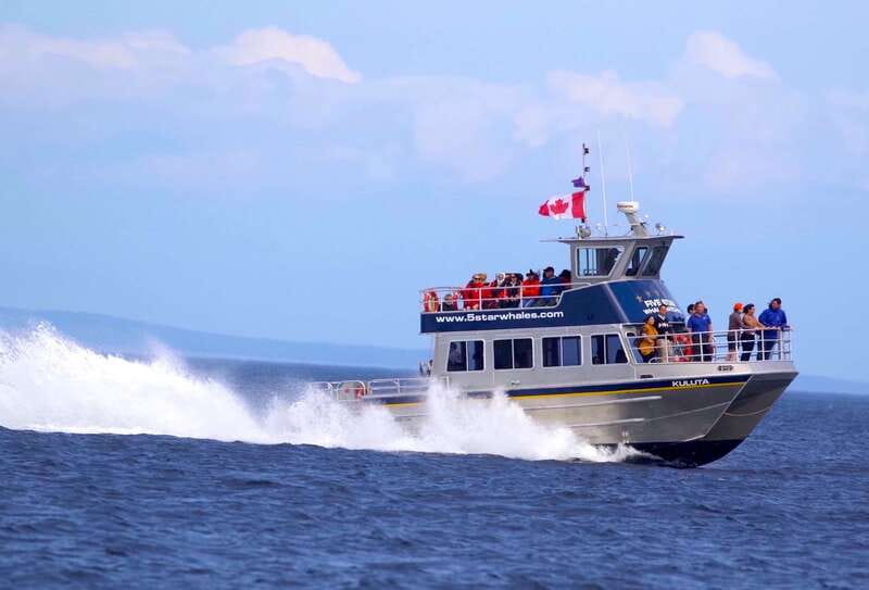 Victoria BC: 3-Hour Whale Watching Expedition - Price and overall value at $130