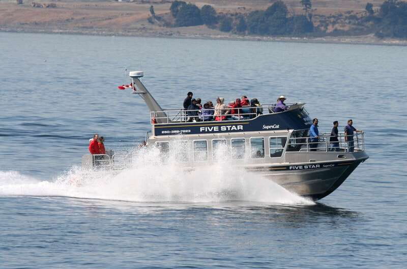 Victoria BC: 3-Hour Whale Watching Expedition - Meeting beside the Fairmont Empress