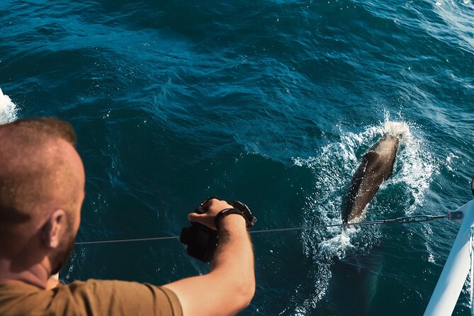 VIP Catamaran 4 hour Activity with Snorkeling in Bulgaria - The return along Bulgaria’s coast