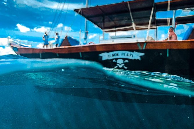 VIP Morning Delight Champagne Sailing and Snorkeling with Lunch - Lunch, grilled cheese, and the open bar