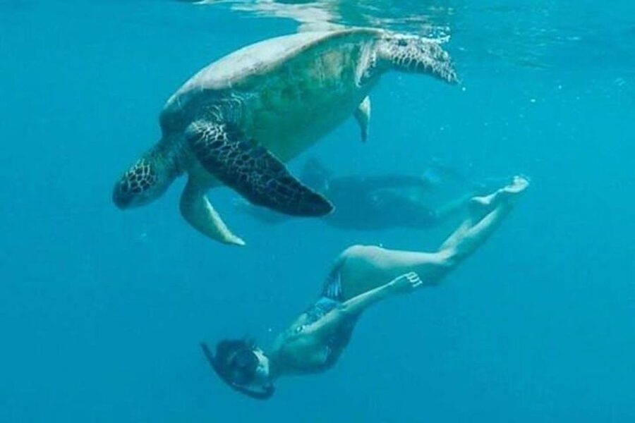 Waikiki Beach: Turtle Snorkeling and Sailing on Hāwea - The $84 question: is the value fair?