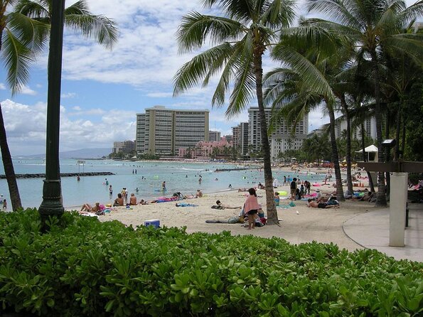Waikiki Catamaran Snorkel Sail with Lunch: Turtles Guaranteed - Turtle Canyon and the in-water session