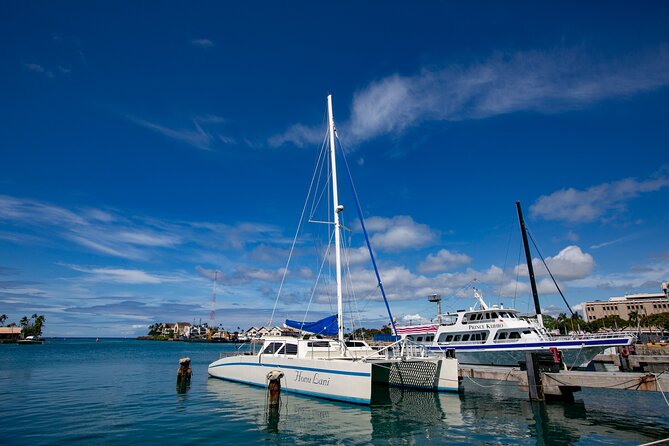 Waikiki Catamaran Snorkel Sail with Lunch: Turtles Guaranteed - What the crew adds to the experience