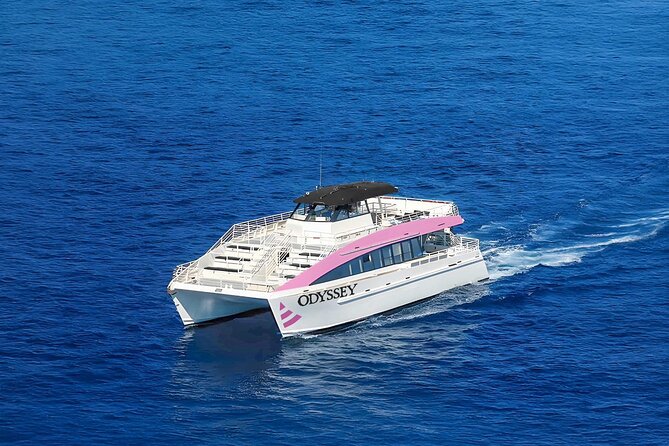 Waikiki: Friday Night Fireworks Catamaran Cruise - Who will enjoy this catamaran most?