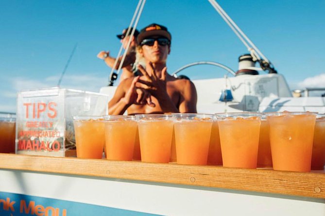 Waikiki Sunset Cocktail Sail with Open Bar - Setting Sail From Waikiki