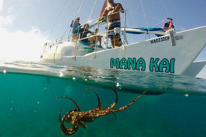 Waikiki Turtle Snorkel and Sail on Hawea Catamaran - The Hawea catamaran makes the ride part of the outing