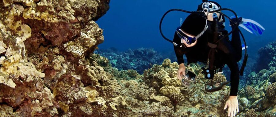 Waikoloa Catamaran Snorkel & Sail Adventure with Lunch - Setting sail from Anaehoʻomalu Bay