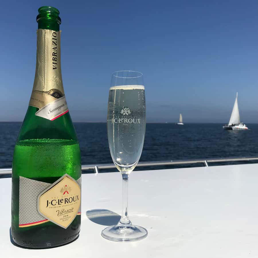 Walvis Bay: Marine Big 5 Luxury Catamaran Tour - Lunch at sea with oysters and local drinks