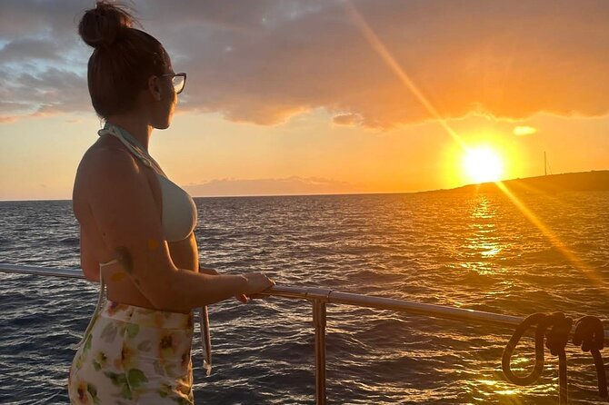 Whale and Dolphin Watching Catamaran with Transfer and Buffet - Swimming, snorkeling, and the south coast