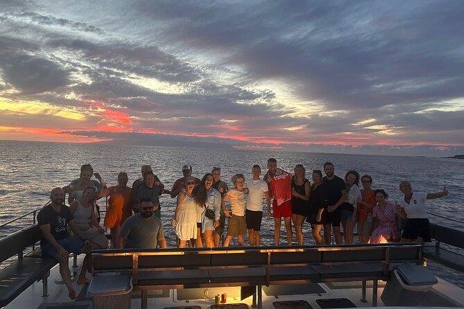 Whale and Dolphin Watching Catamaran with Transfer and Buffet - Who should book, and who should think twice