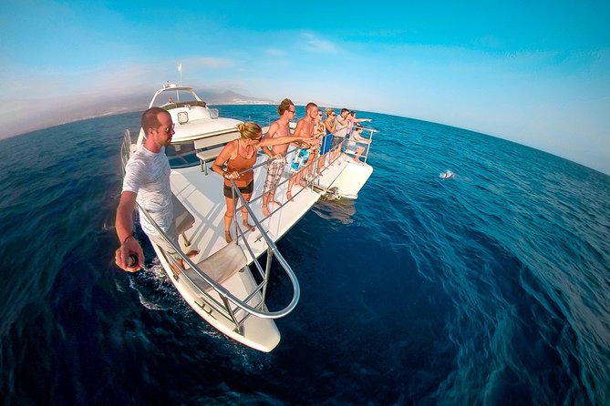 Whale and Dolphin Watching Catamaran with Transfer and Buffet - Leaving Puerto Colón on Monte Cristo Catamaran