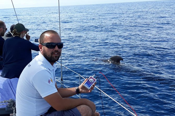 Whale and Dolphin Watching Sailing Boat with Drinks, Snacks and Swimming Time - Comfort, sea conditions, and safety