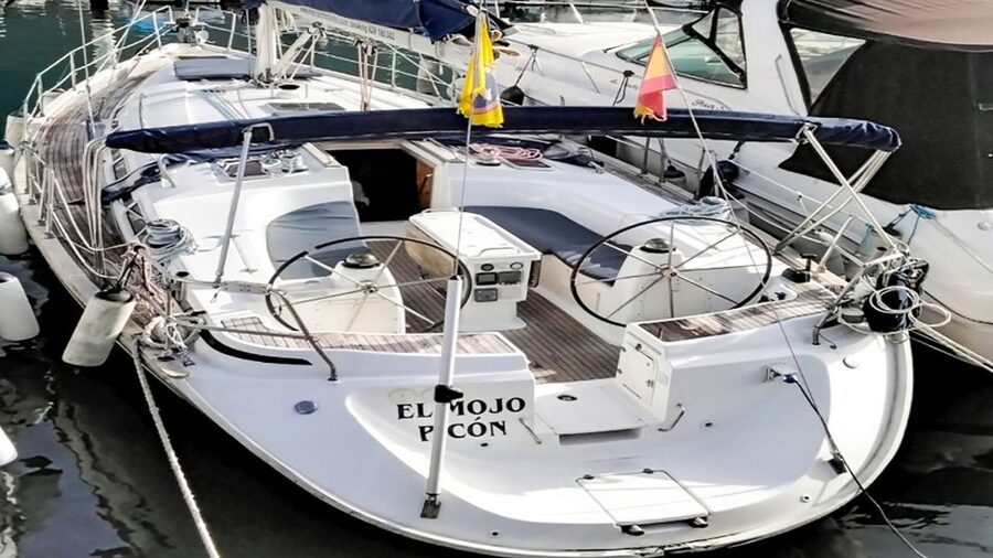 Whale and Dolphin Watching Sailing Tour – Los Gigantes (3H) - Tapas, fruit, and drinks on the return