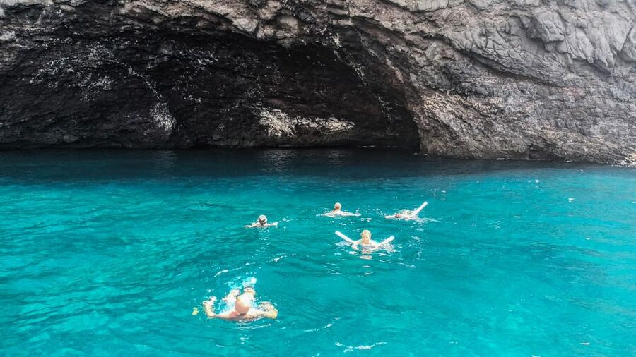 Whale and Dolphin Watching Sailing Tour – Los Gigantes (3H) - What $76 buys you