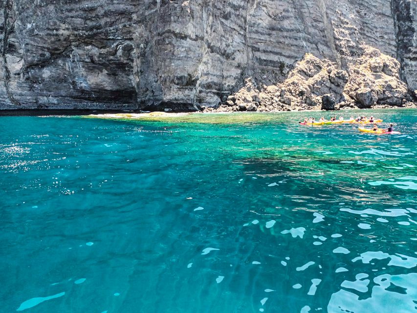Whale and Dolphin Watching Sailing Tour – Los Gigantes (3H) - How comfortable and practical is the trip?