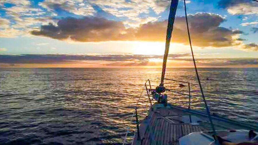 Whale and Dolphin Watching Sailing Tour – Los Gigantes (3H) - Who will enjoy this Los Gigantes cruise?