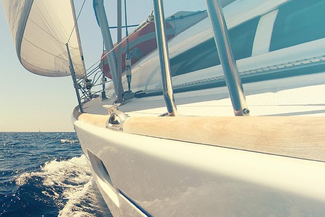 Whale and Dolphin Watching Yacht Trip in Puerto Colon - Searching for pilot whales off Tenerife