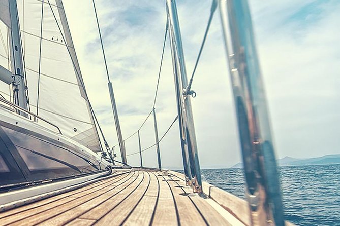 Whale and Dolphin Watching Yacht Trip in Puerto Colon - What the $62.56 price gets you