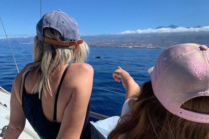 Whale and Dolphin Watching Yacht Trip in Puerto Colon - Who should book this yacht trip