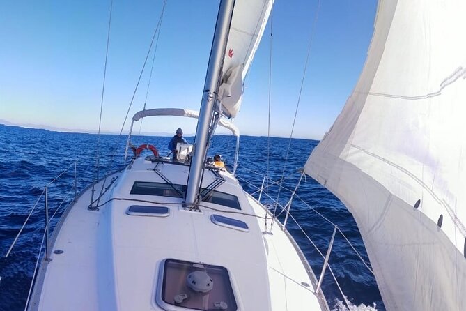 Whale & Dolphin Observation on Electric Sailing Boat in Denia - Sophia’s marine lesson and the role of the crew
