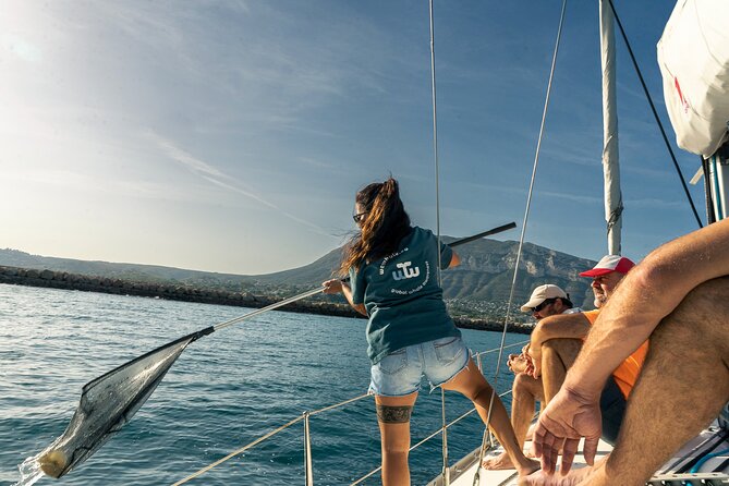 Whale & Dolphin Observation on Electric Sailing Boat in Denia - Booking details that matter