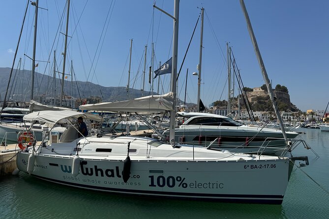 Whale & Dolphin Observation on Electric Sailing Boat in Denia - What the electric boat changes