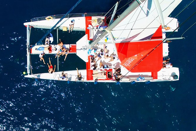 Whale watching and listening Eco-Catamaran Tour with Food Tasting - How crowded is the catamaran?