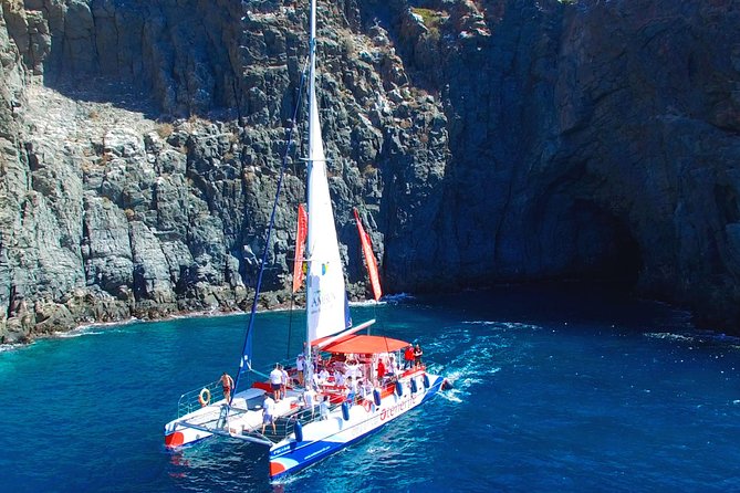 Whale watching and listening Eco-Catamaran Tour with Food Tasting - What the three hours feel like