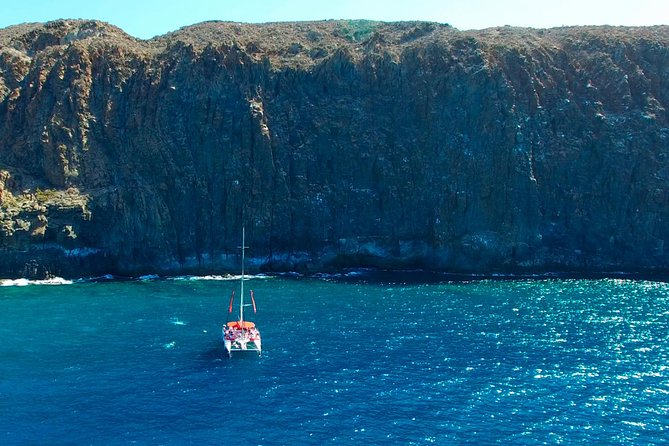 Whale watching and listening Eco-Catamaran Tour with Food Tasting - Is $48.37 good value?