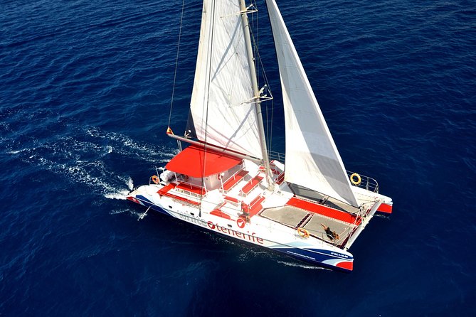 Whale watching and listening Eco-Catamaran Tour with Food Tasting - A swim in the bay
