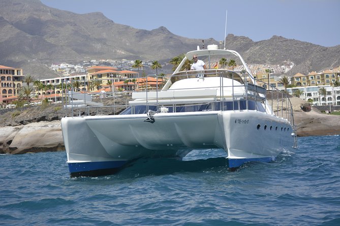 Whale Watching Catamaran Cruise with Transfer, Buffet by MC - Searching for pilot whales and dolphins