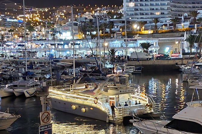 Whale Watching Catamaran Cruise with Transfer, Buffet by MC - Is $71.35 good value?