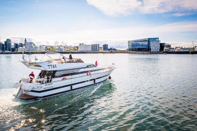 Whale Watching & Dolphin Yacht Cruise - Key points to know before sailing