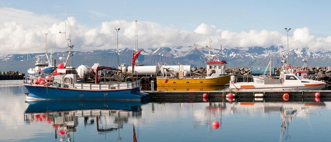 Whale Watching on a Traditional Oak Sailing Ship from Husavik - Setting out from Húsavík harbour