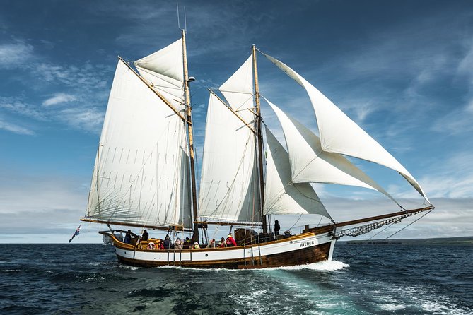 Whale Watching on a Traditional Oak Sailing Ship from Husavik - Practical details before you book