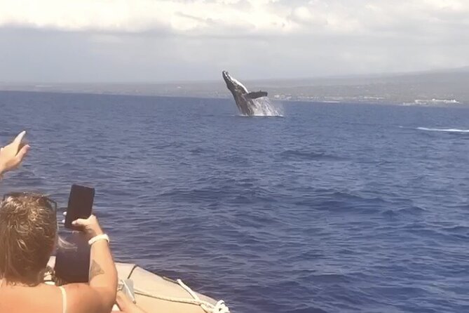 Whale Watching Tour on a Charming Hawaiian Catamaran From Maalaea - Setting out from Maalaea Harbor