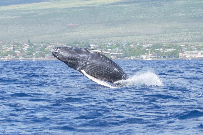Whale Watching Tour on a Charming Hawaiian Catamaran From Maalaea - Views beyond the whales