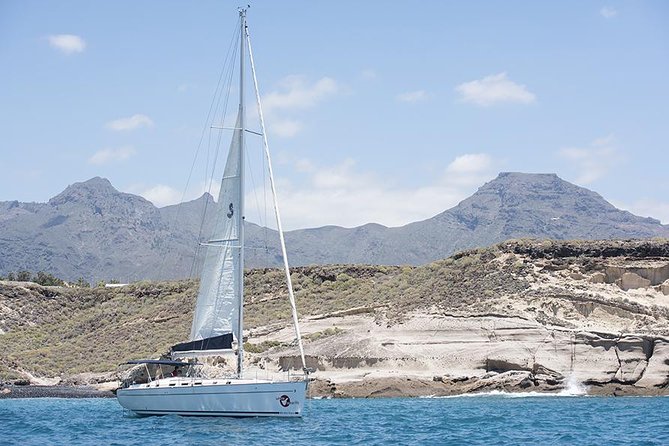 Whales & Dolphins watching in exclusive sailboat - Who will enjoy this most