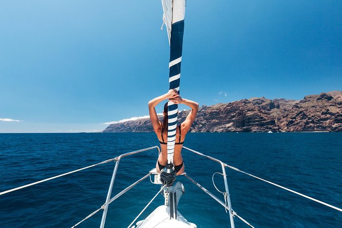 Whales & Dolphins watching in exclusive sailboat - Guides who shape the day